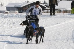 Lenk 2012 SM